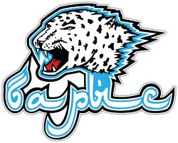 barys astana